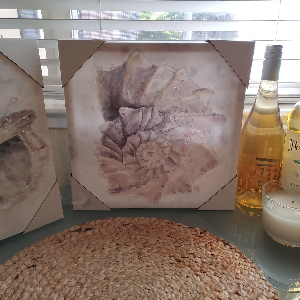 Beach Decor Seashell Wall Art